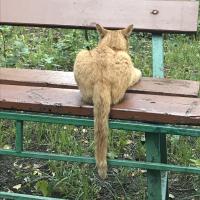 Екструбаза