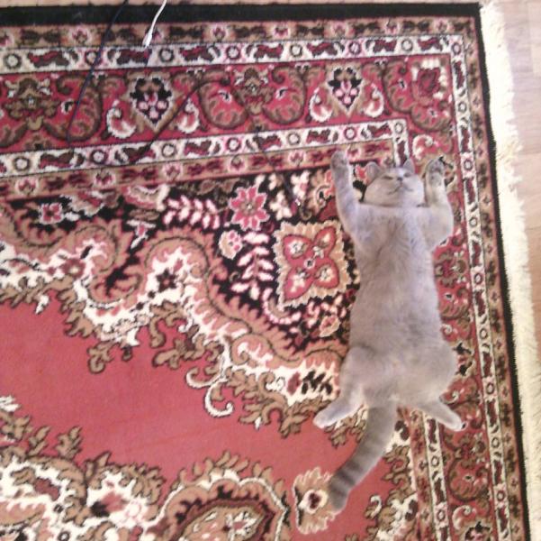 post image