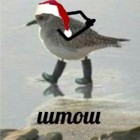 Kevin's_mom
