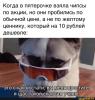 стикер