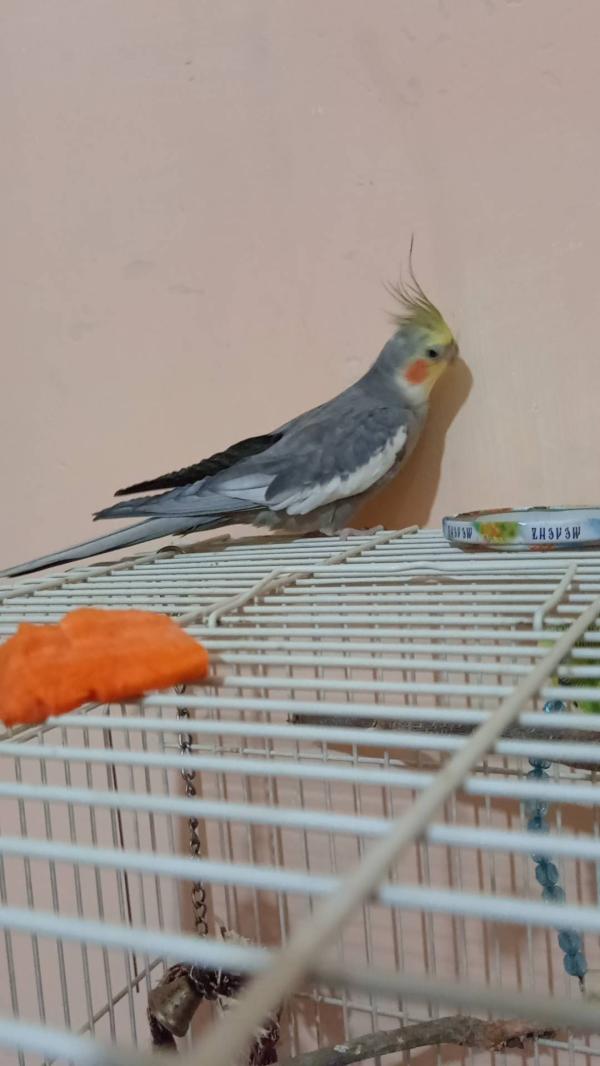 post image 2