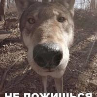 Марийка
