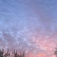 Александра