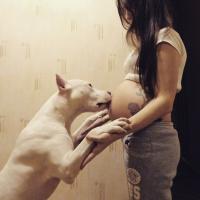 Василиса Васильевна