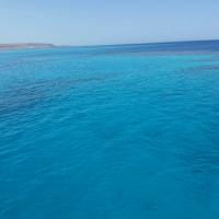 Дарья Кривова