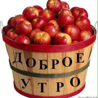 Экспогуль