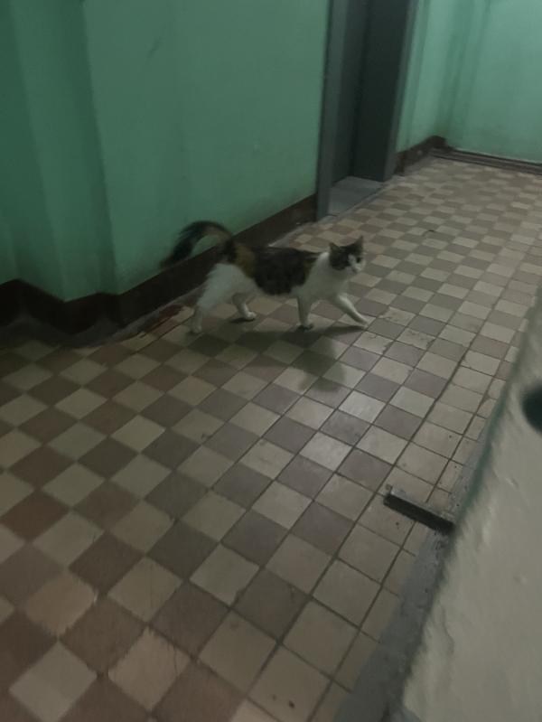 post image 4