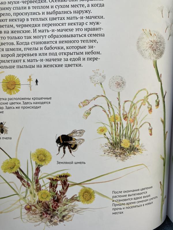 post image 5