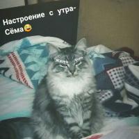 Лиля 