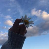 Samiya_S