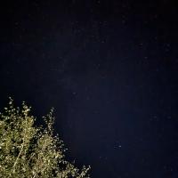 Александра 🕊️