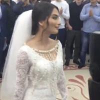 Патюля
