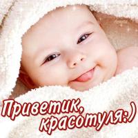 swet291