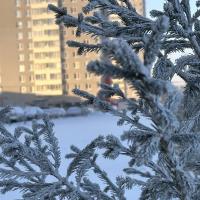 Вероника