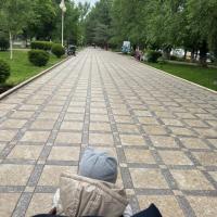 fatiii.7