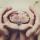 evast