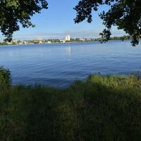 Лали
