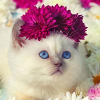 Екатерина Васильева