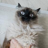 Mama_x_3