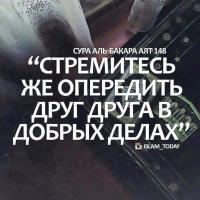 Amina