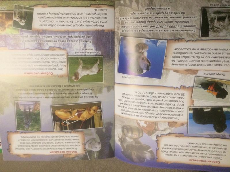 post image 3
