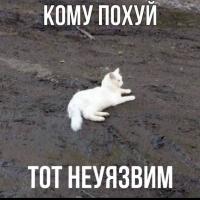 Мастер курица