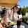 violetta_andreevna