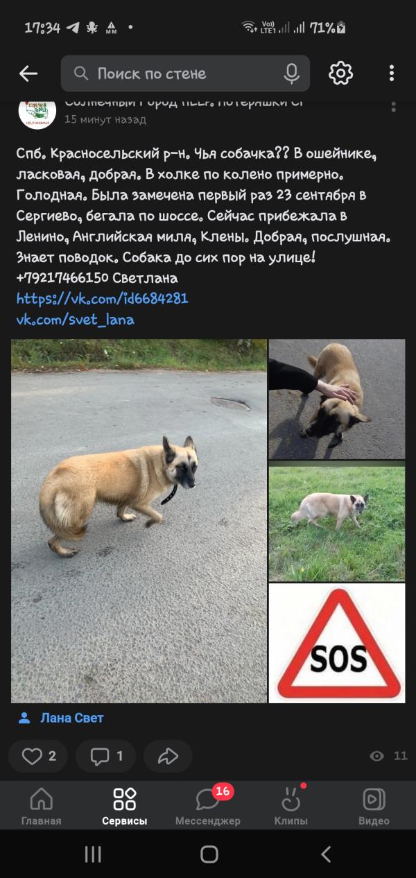 post image 4