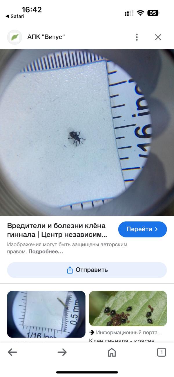 post image 4