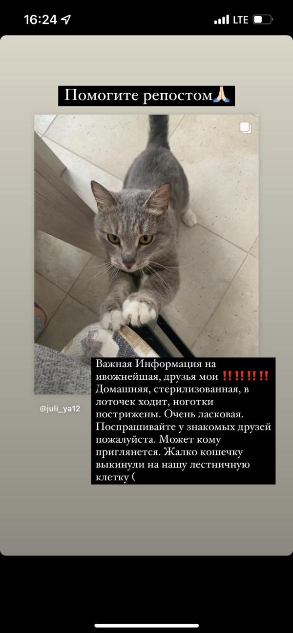 post image
