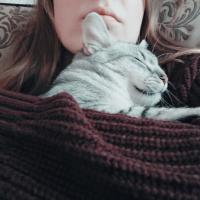 Катя 
