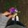 lovedana777.dz