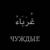Амира