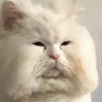 Юлия