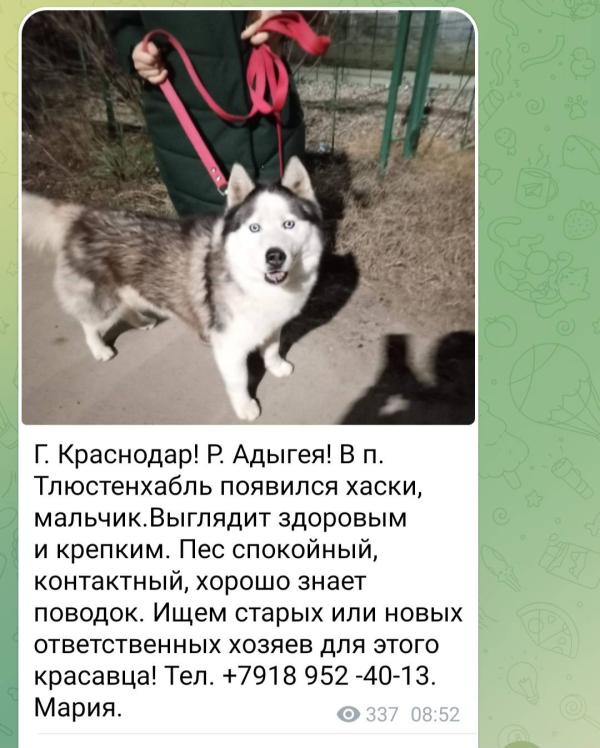 post image