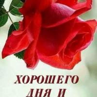 Алена