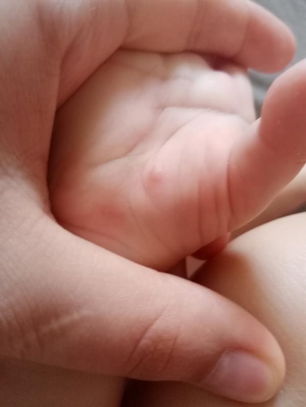 post image 4