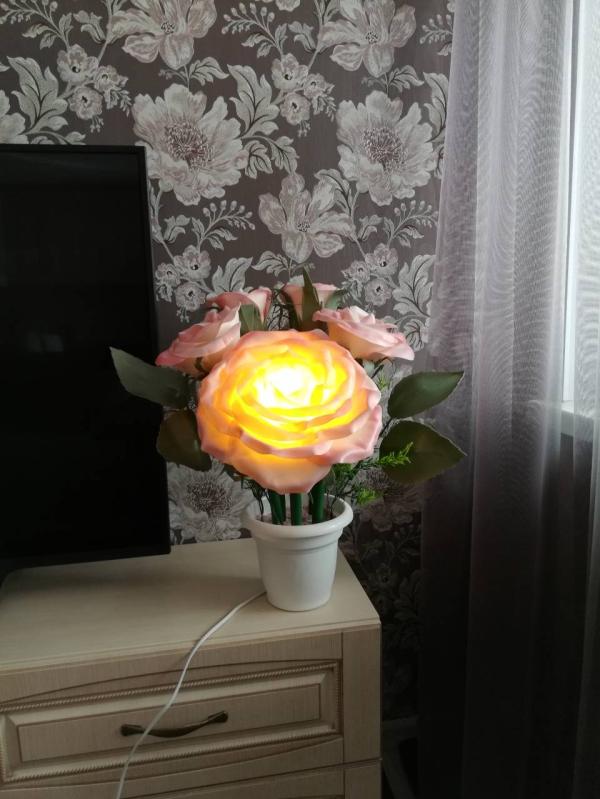 post image 5