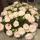 nastya_nastya4444