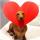 lesya.shmeleva