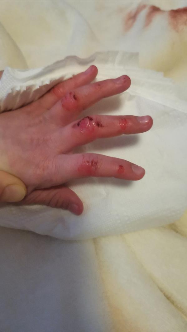 post image 1