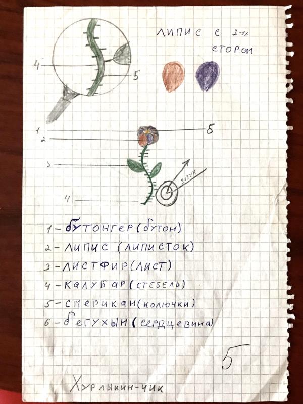 post image 5