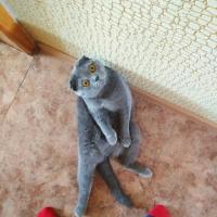 Анна