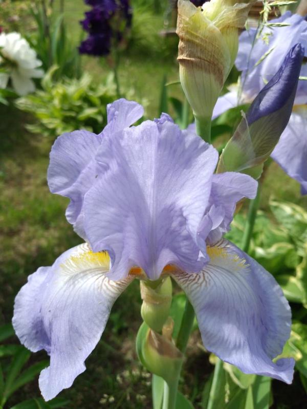 post image 5