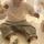rabiya_