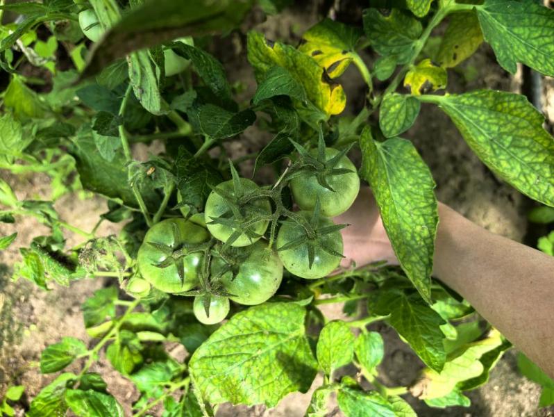 post image 4