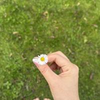 нумеролог ✨
