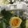 valerievna_