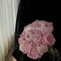 hafsa