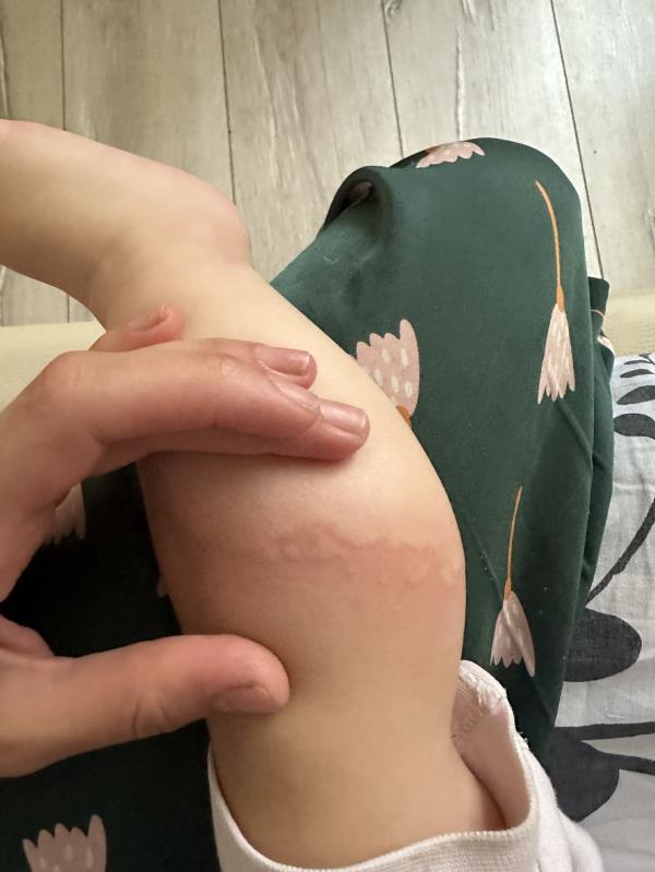 post image 5